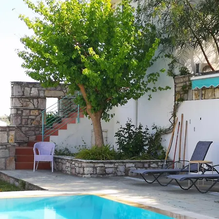 The Iconpainter Zaga Villa